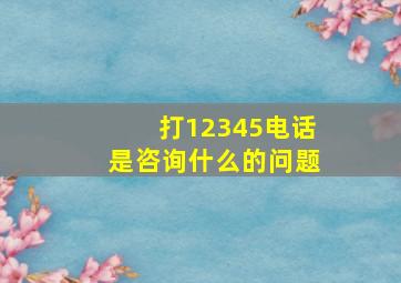 打12345电话是咨询什么的问题