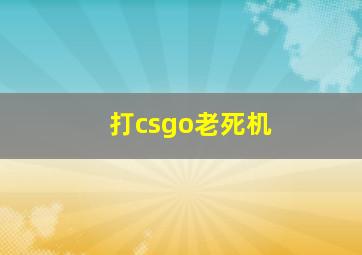 打csgo老死机