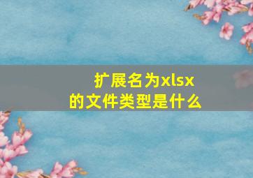 扩展名为xlsx的文件类型是什么