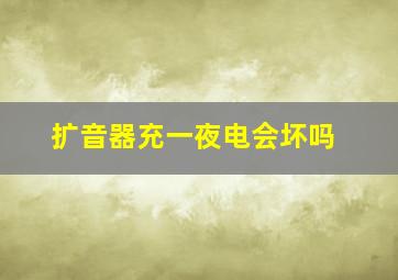 扩音器充一夜电会坏吗