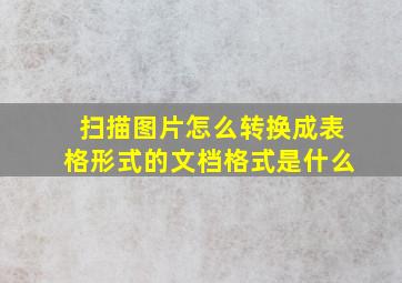 扫描图片怎么转换成表格形式的文档格式是什么