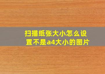 扫描纸张大小怎么设置不是a4大小的图片