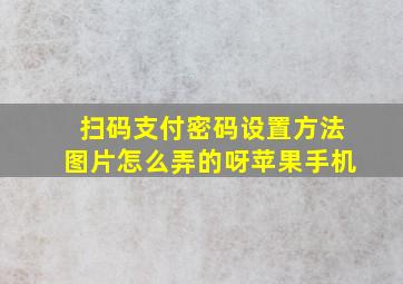 扫码支付密码设置方法图片怎么弄的呀苹果手机