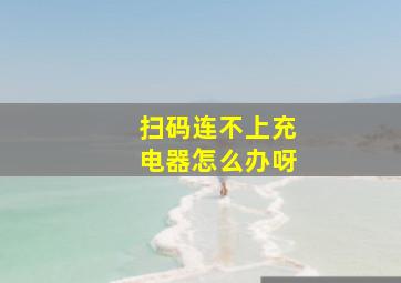 扫码连不上充电器怎么办呀