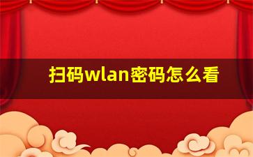 扫码wlan密码怎么看