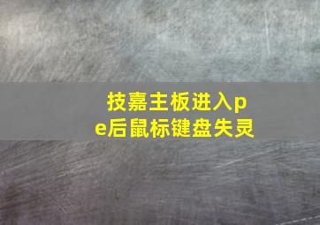 技嘉主板进入pe后鼠标键盘失灵