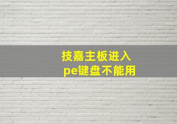 技嘉主板进入pe键盘不能用