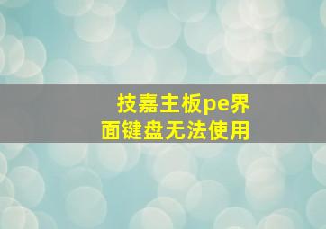 技嘉主板pe界面键盘无法使用