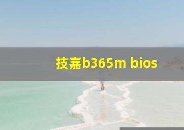 技嘉b365m bios