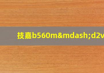 技嘉b560m—d2v如何