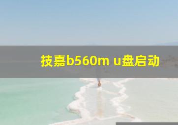 技嘉b560m u盘启动