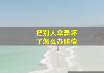 把别人伞弄坏了怎么办赔偿