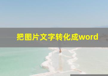 把图片文字转化成word