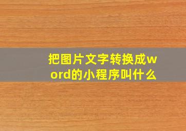 把图片文字转换成word的小程序叫什么