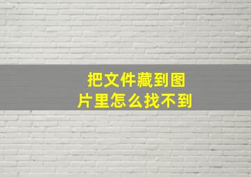 把文件藏到图片里怎么找不到