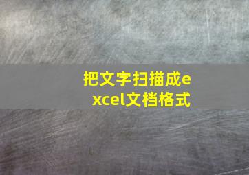 把文字扫描成excel文档格式