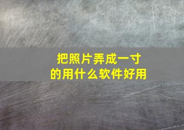 把照片弄成一寸的用什么软件好用