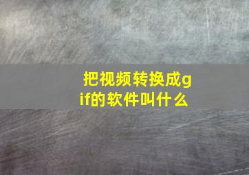 把视频转换成gif的软件叫什么