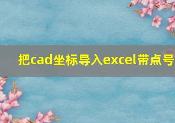 把cad坐标导入excel带点号