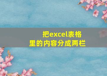 把excel表格里的内容分成两栏