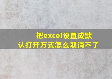 把excel设置成默认打开方式怎么取消不了