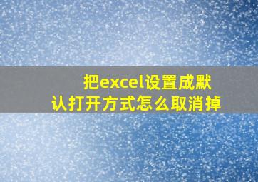 把excel设置成默认打开方式怎么取消掉