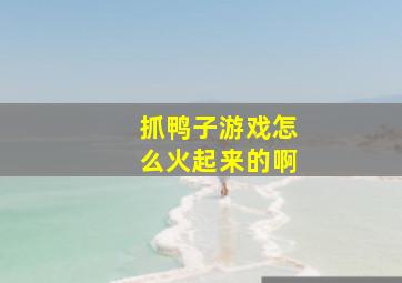 抓鸭子游戏怎么火起来的啊