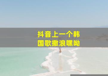 抖音上一个韩国歌撒浪嘿呦