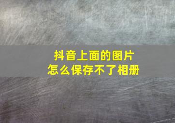 抖音上面的图片怎么保存不了相册