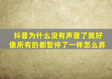 抖音为什么没有声音了就好像所有的都暂停了一样怎么弄