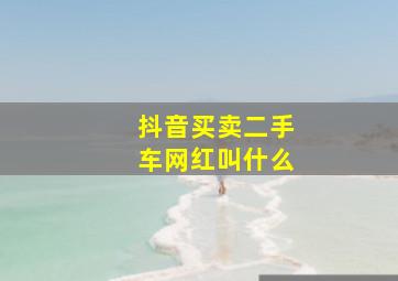 抖音买卖二手车网红叫什么