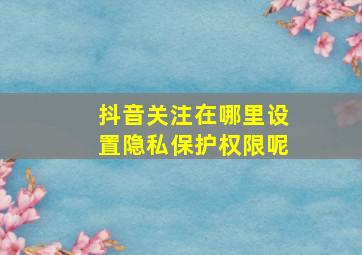 抖音关注在哪里设置隐私保护权限呢