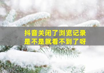 抖音关闭了浏览记录是不是就看不到了呀