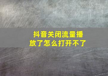 抖音关闭流量播放了怎么打开不了