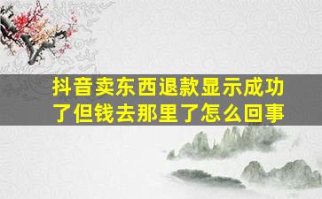 抖音卖东西退款显示成功了但钱去那里了怎么回事