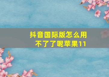 抖音国际版怎么用不了了呢苹果11