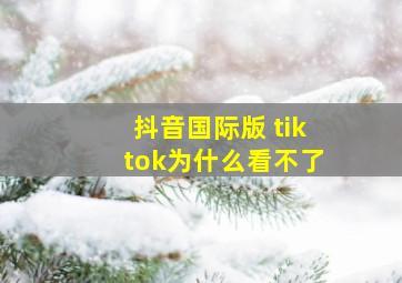 抖音国际版 tiktok为什么看不了