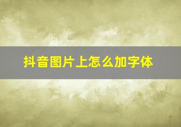 抖音图片上怎么加字体