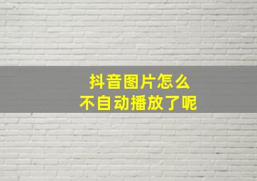 抖音图片怎么不自动播放了呢