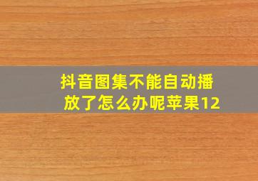 抖音图集不能自动播放了怎么办呢苹果12