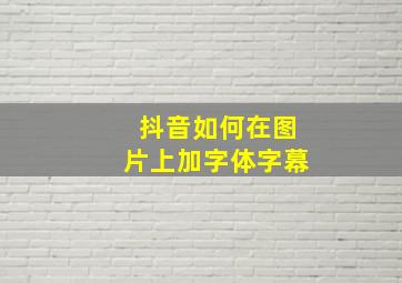 抖音如何在图片上加字体字幕