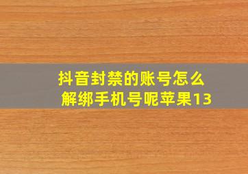 抖音封禁的账号怎么解绑手机号呢苹果13