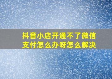 抖音小店开通不了微信支付怎么办呀怎么解决