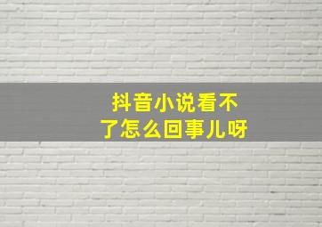 抖音小说看不了怎么回事儿呀