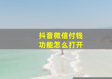 抖音微信付钱功能怎么打开