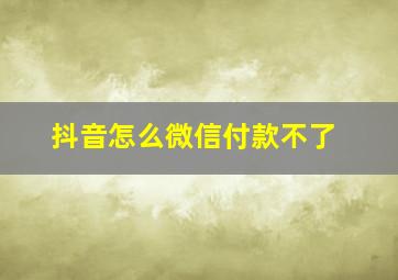 抖音怎么微信付款不了