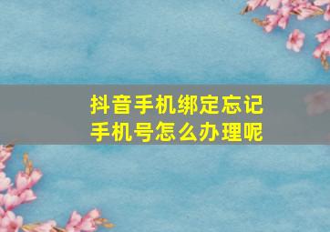 抖音手机绑定忘记手机号怎么办理呢