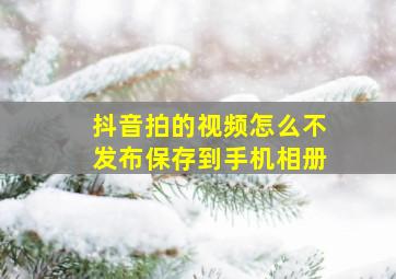 抖音拍的视频怎么不发布保存到手机相册