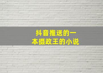 抖音推送的一本摄政王的小说