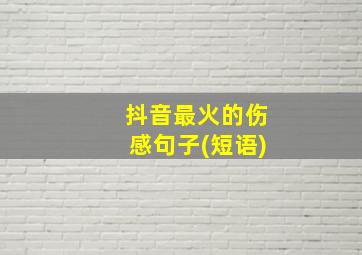 抖音最火的伤感句子(短语)